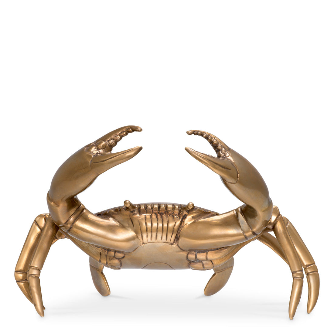 Object Crab *EXPO