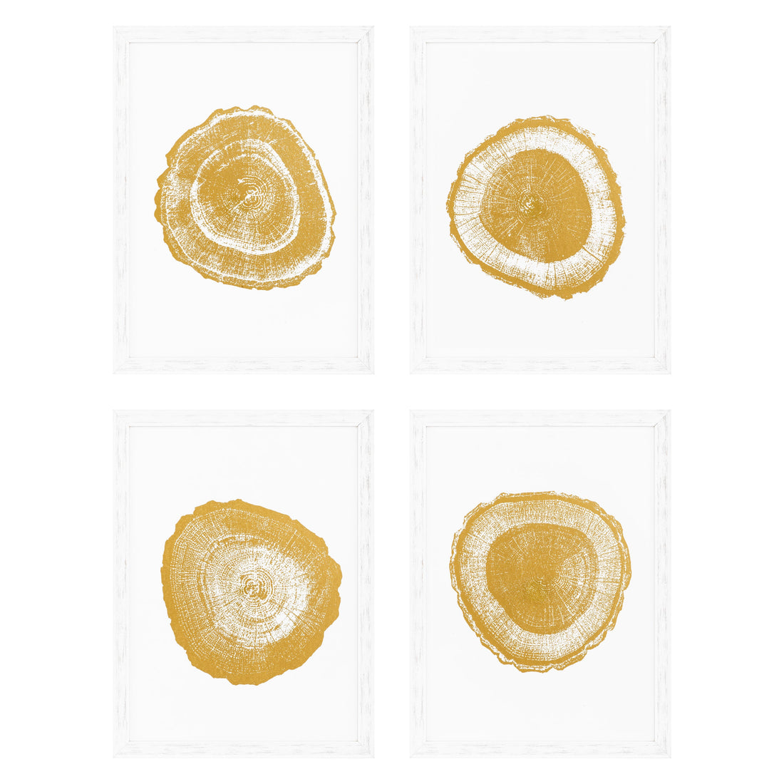 Print EC257 Gold Foil: Tree Rings Set Of 2 *EXPO