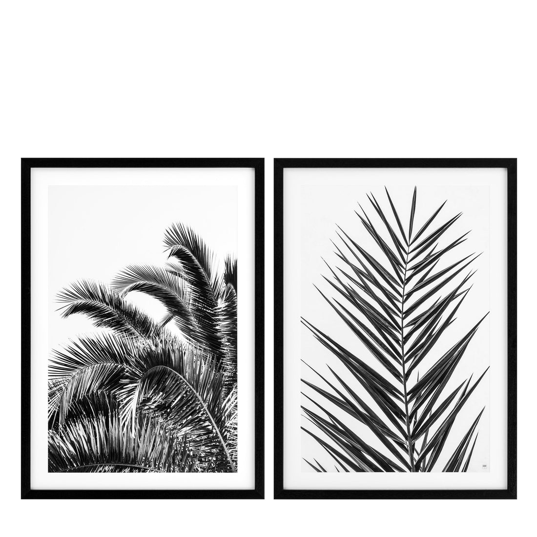 Print EC274 Palm Leaves Set Of 2 *EXPO