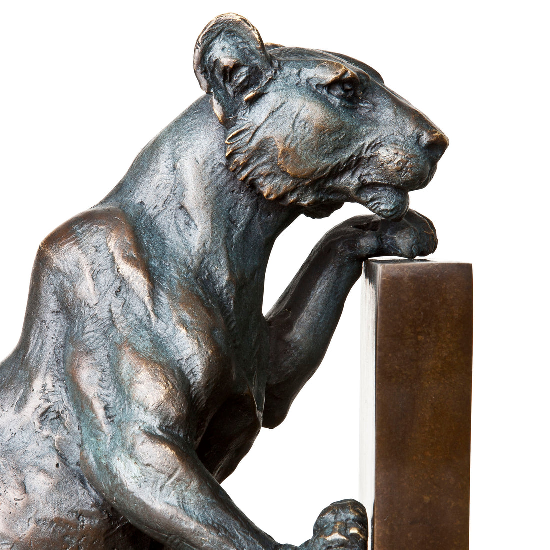 Bookend Lioness Set Of 2