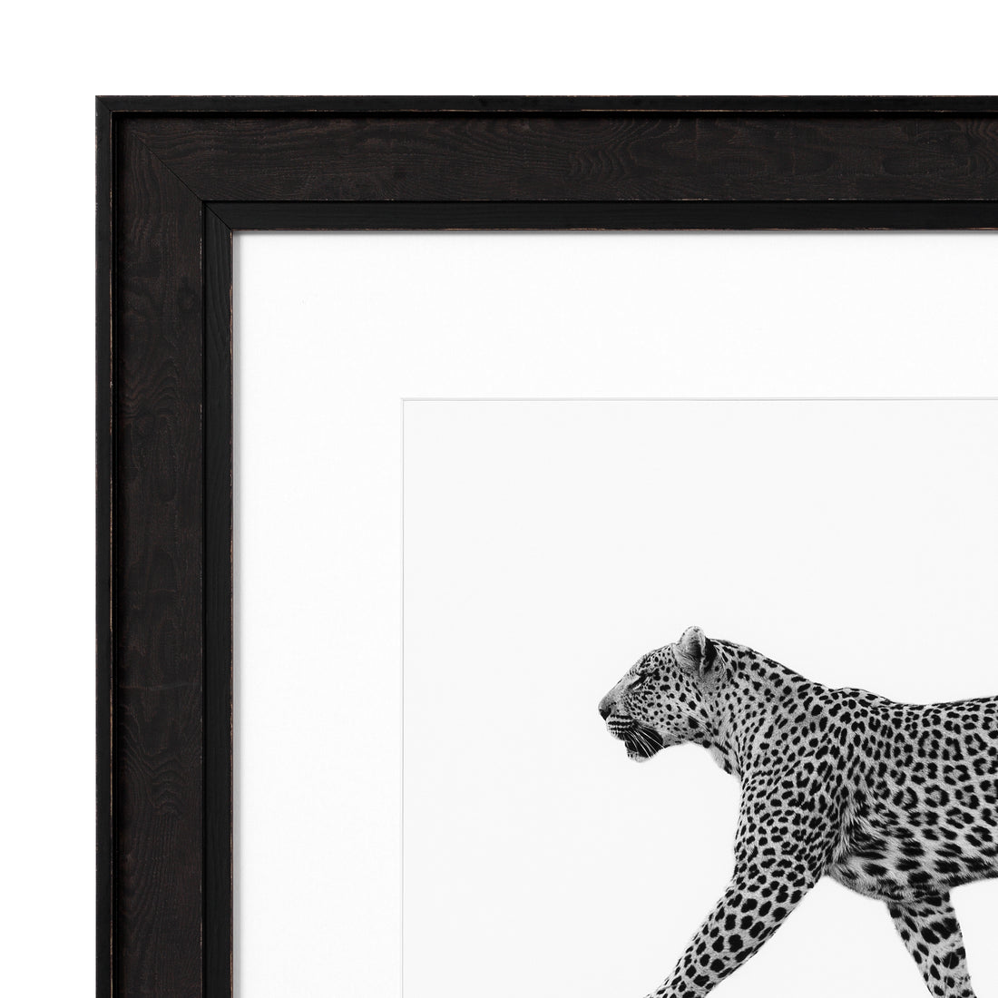 Imprimir EC292 el leopardo