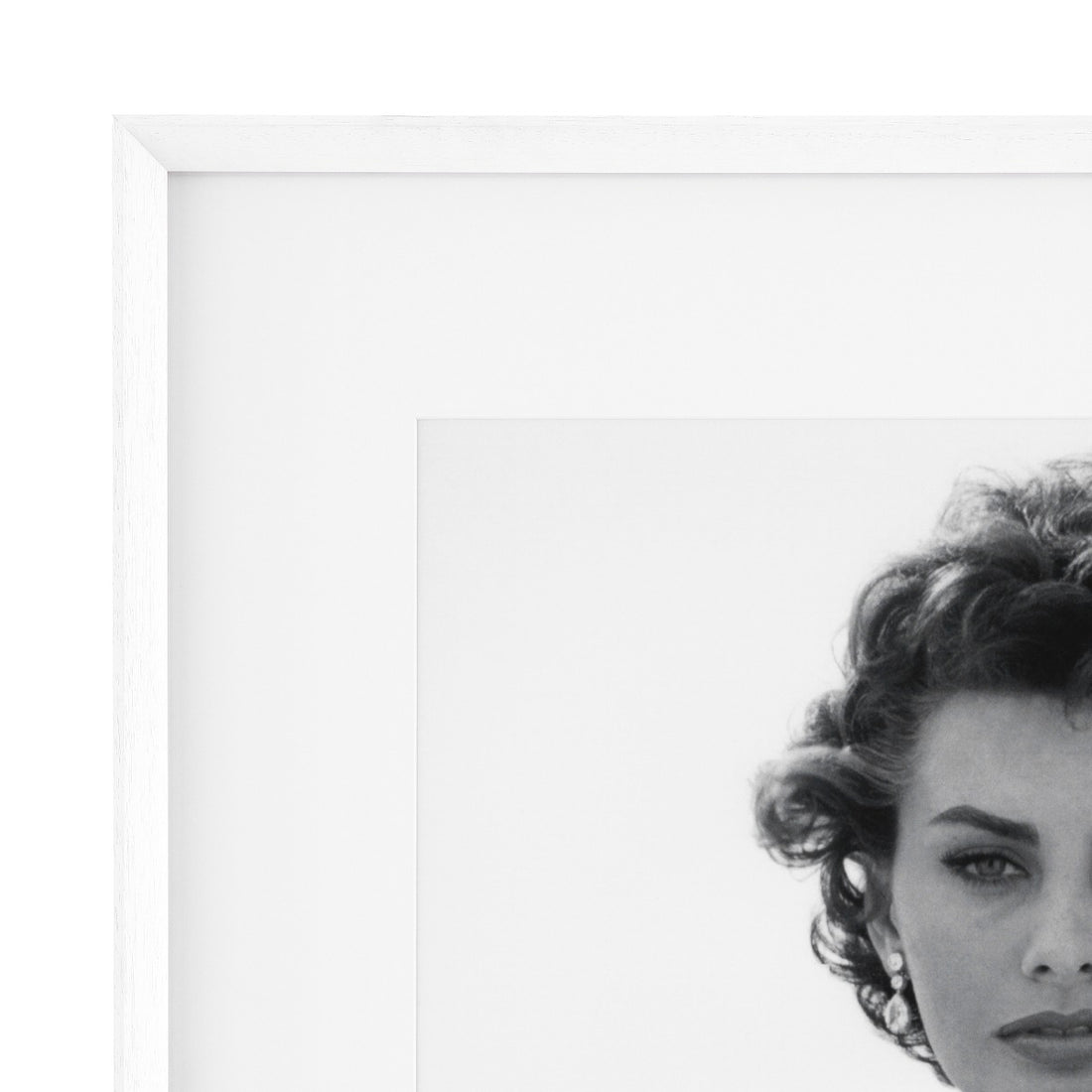 Print EC321 Staring Sophia Loren