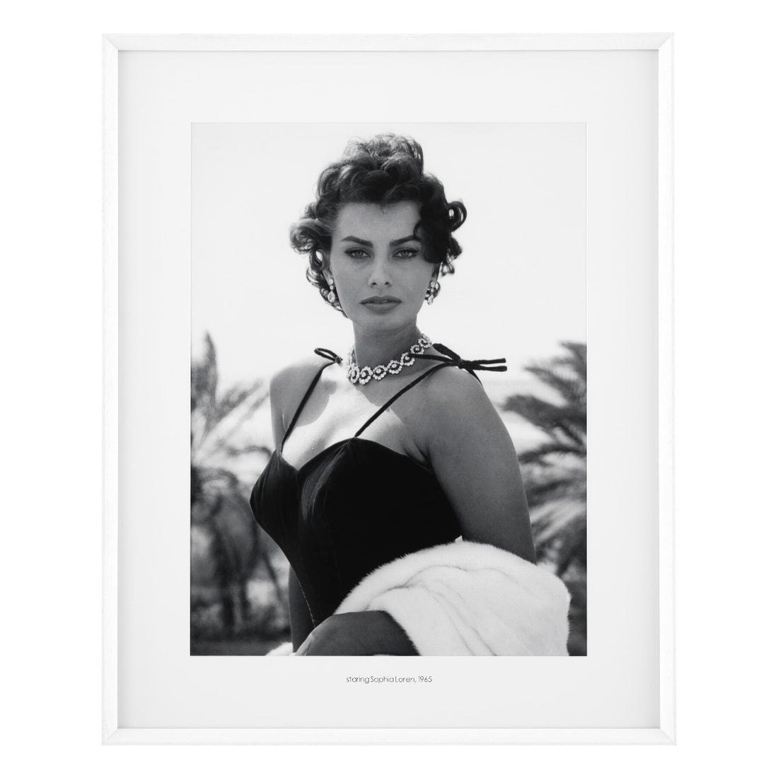 Print EC321 Staring Sophia Loren